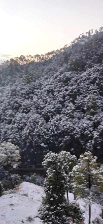 Solitude Inn Bnb Shimla Eksteriør billede