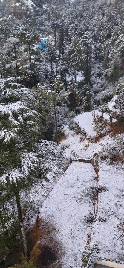 Solitude Inn Bnb Shimla Eksteriør billede